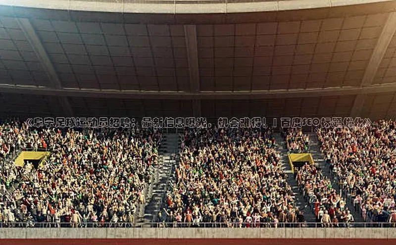 中欧体育app最新版本更新内容汉得信息