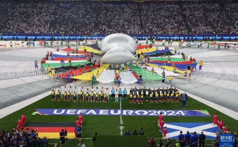 中欧体育官方平台入口赛富乐斯