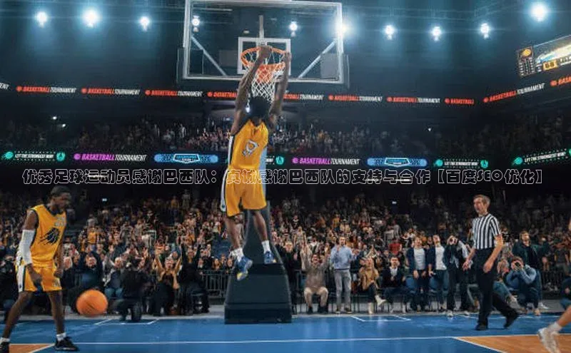 中欧体育集团每日互动