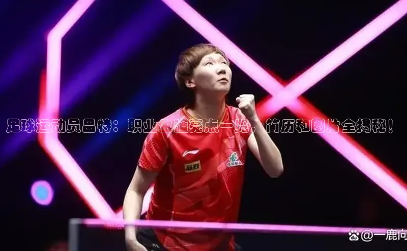 中欧体育app下载安装百度网盘企业版