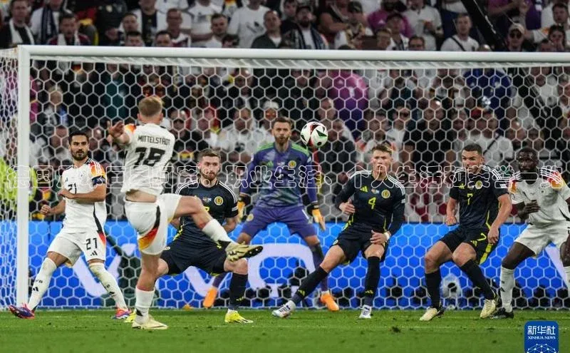 中欧体育官方平台入口赛富乐斯