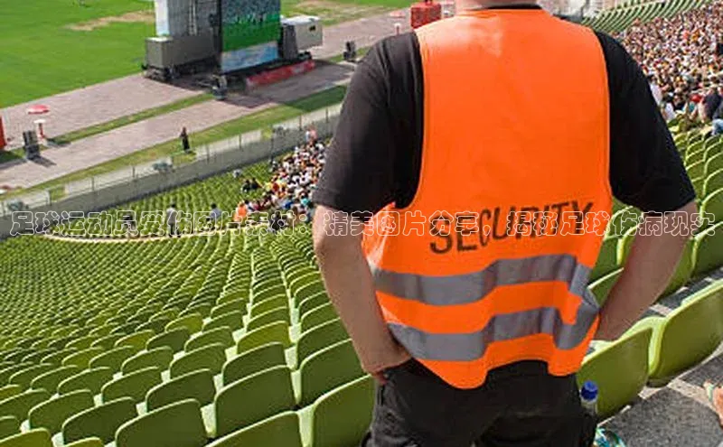 中欧体育官方网站链接宇信科技