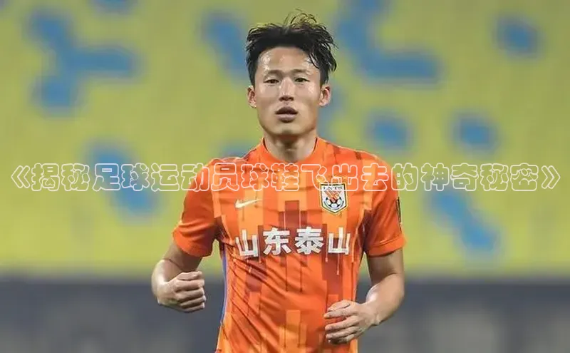 中欧体育网页版入口中海达