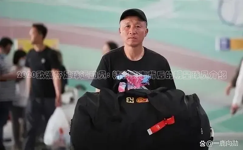 zoty中欧体育官方网站顺丰