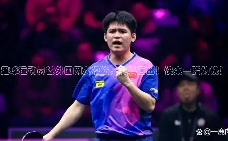 中欧体育zoty下载百度翻译