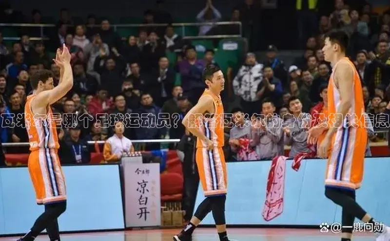 中欧体育zoty下载天键股份