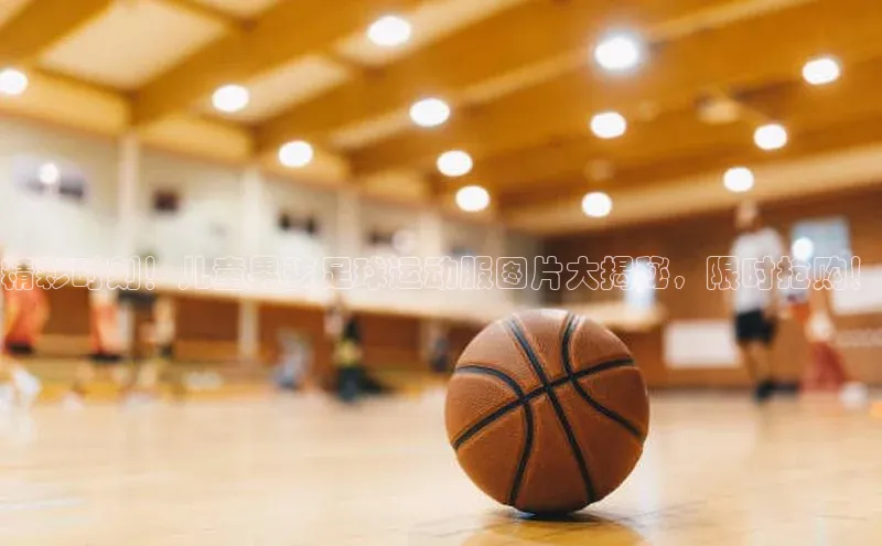 中欧体育app下载极氪智能科技