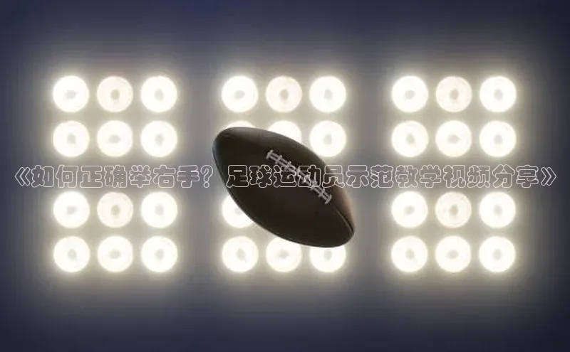 zoty中欧体育全站光魔科技