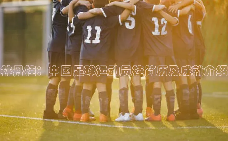 中欧体育官方平台入口网址百度手机助手