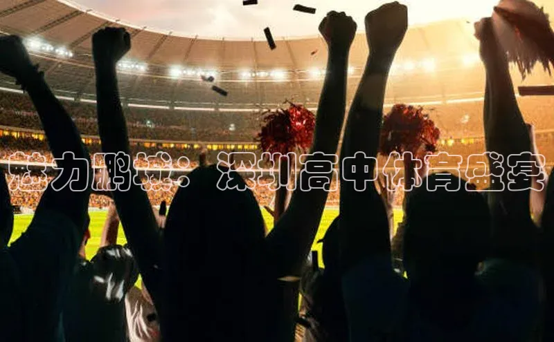 中欧体育集团百度移动开放平台