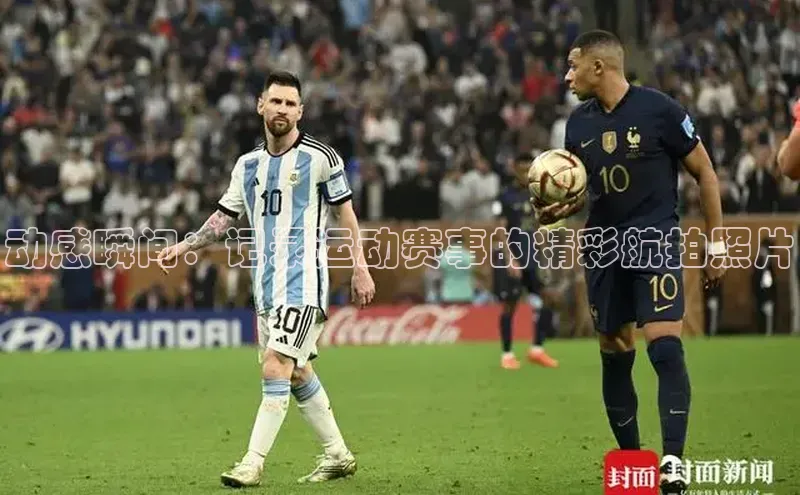 Zoty中欧体育登录入口