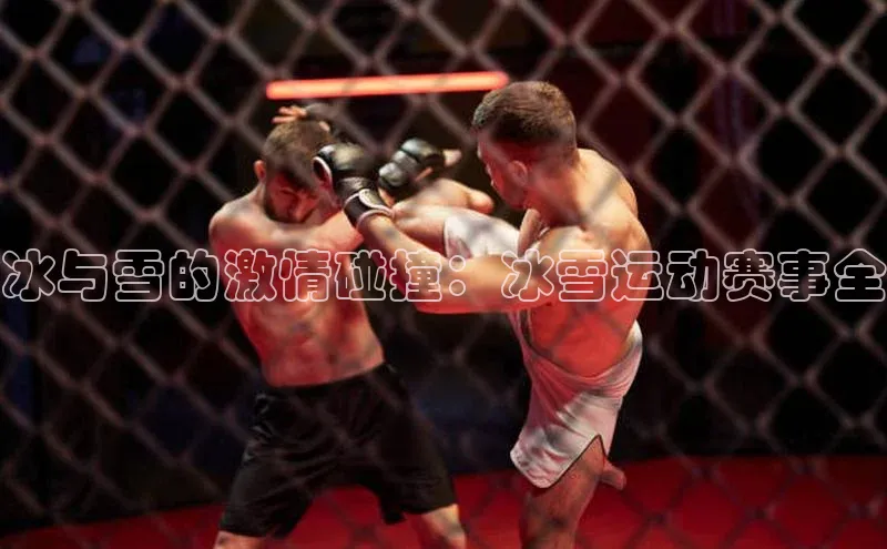 中欧体育全站app