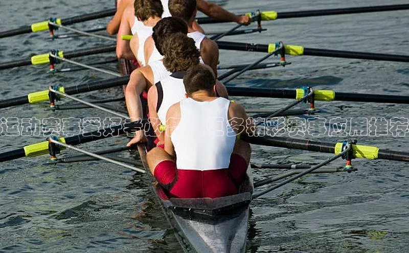 中欧app下载官网最新版