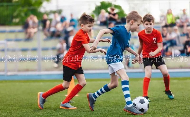 中欧体育app下载