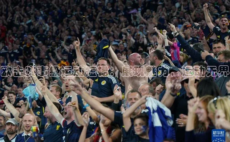 中欧体育官方网站链接