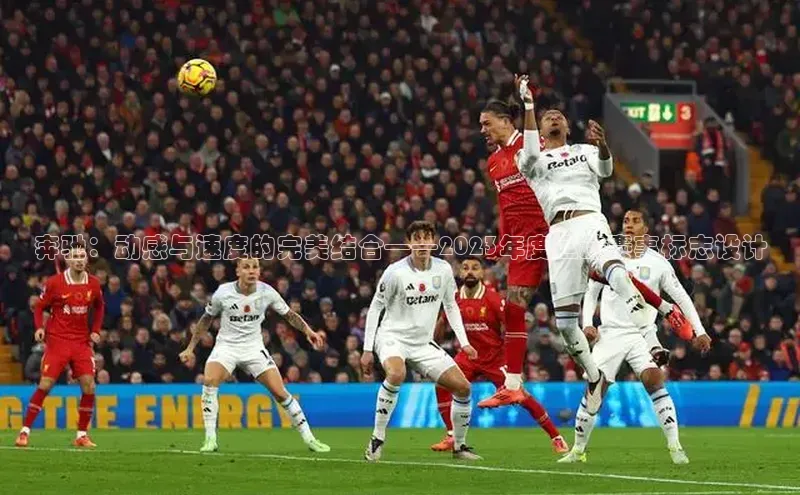 中欧体育官方平台入口下载