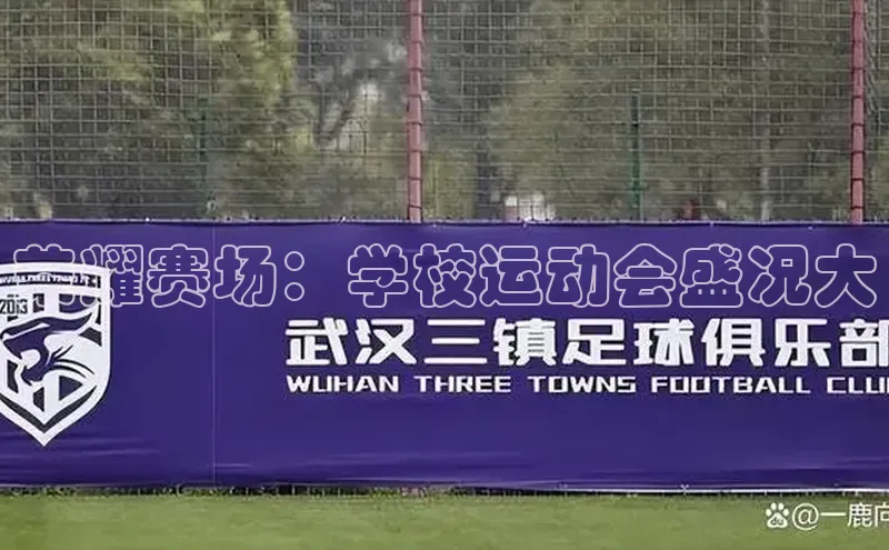 Zoty中欧体育登录入口