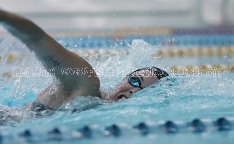 中欧体育官方平台入口网址